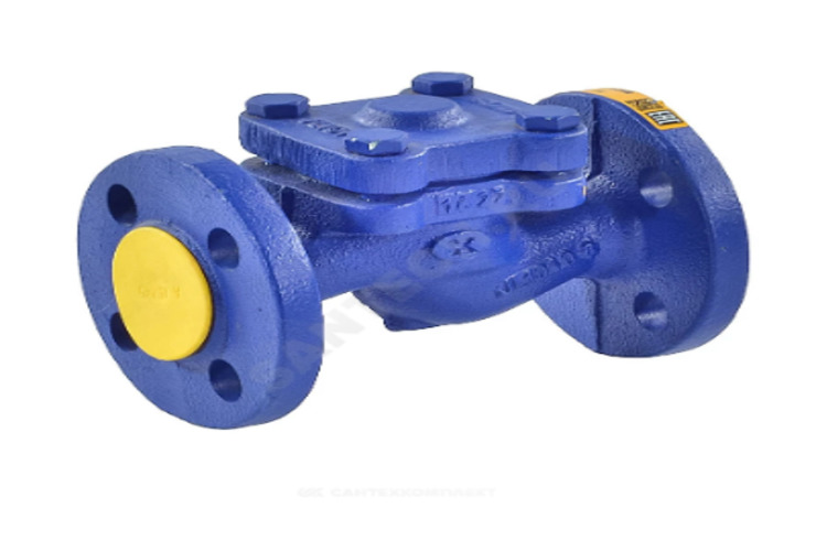 Клапан обратный чугун Zetkama 287A200C31 по 49 870.00 руб.